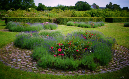 Rosenbedene i Gerlevparken, Fotograf: Karl Gercens