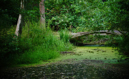 Træerne i Gerlevparken